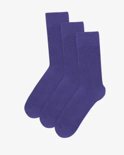 Classic Organic Sock - Ultra Violet (3-Pack)