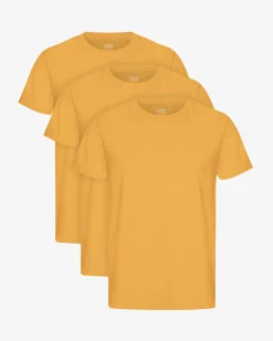 Classic Organic Tee - Burned Yellow (3-Pack)