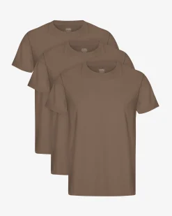 Classic Organic Tee - Cedar Brown (3-Pack)