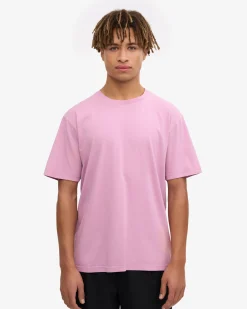 Classic Organic Tee - Cherry Blossom (3-Pack)