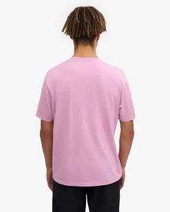 Classic Organic Tee - Cherry Blossom (3-Pack)