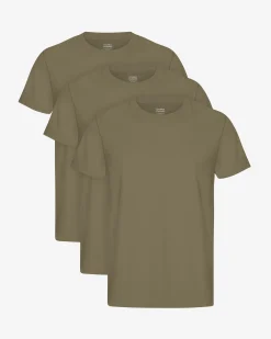 Classic Organic Tee - Dusty Olive (3-Pack)