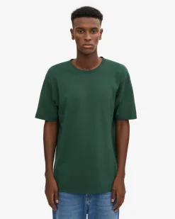 Classic Organic Tee - Emerald Green (3-Pack)