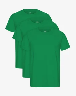 Classic Organic Tee - Kelly Green (3-Pack)