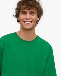 Classic Organic Tee - Kelly Green (3-Pack)