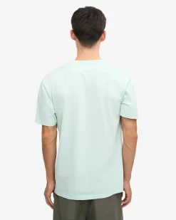 Classic Organic Tee - Light Aqua (3-Pack)