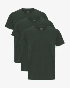 Classic Organic Tee - Midnight Forest (3-Pack)