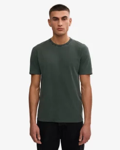 Classic Organic Tee - Midnight Forest (3-Pack)