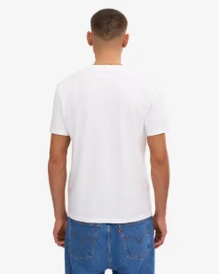 Classic Organic Tee - Mixed 08 (3-Pack)