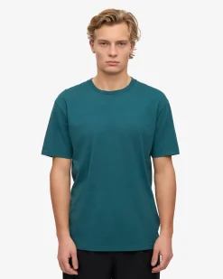 Classic Organic Tee - Ocean Green (3-Pack)