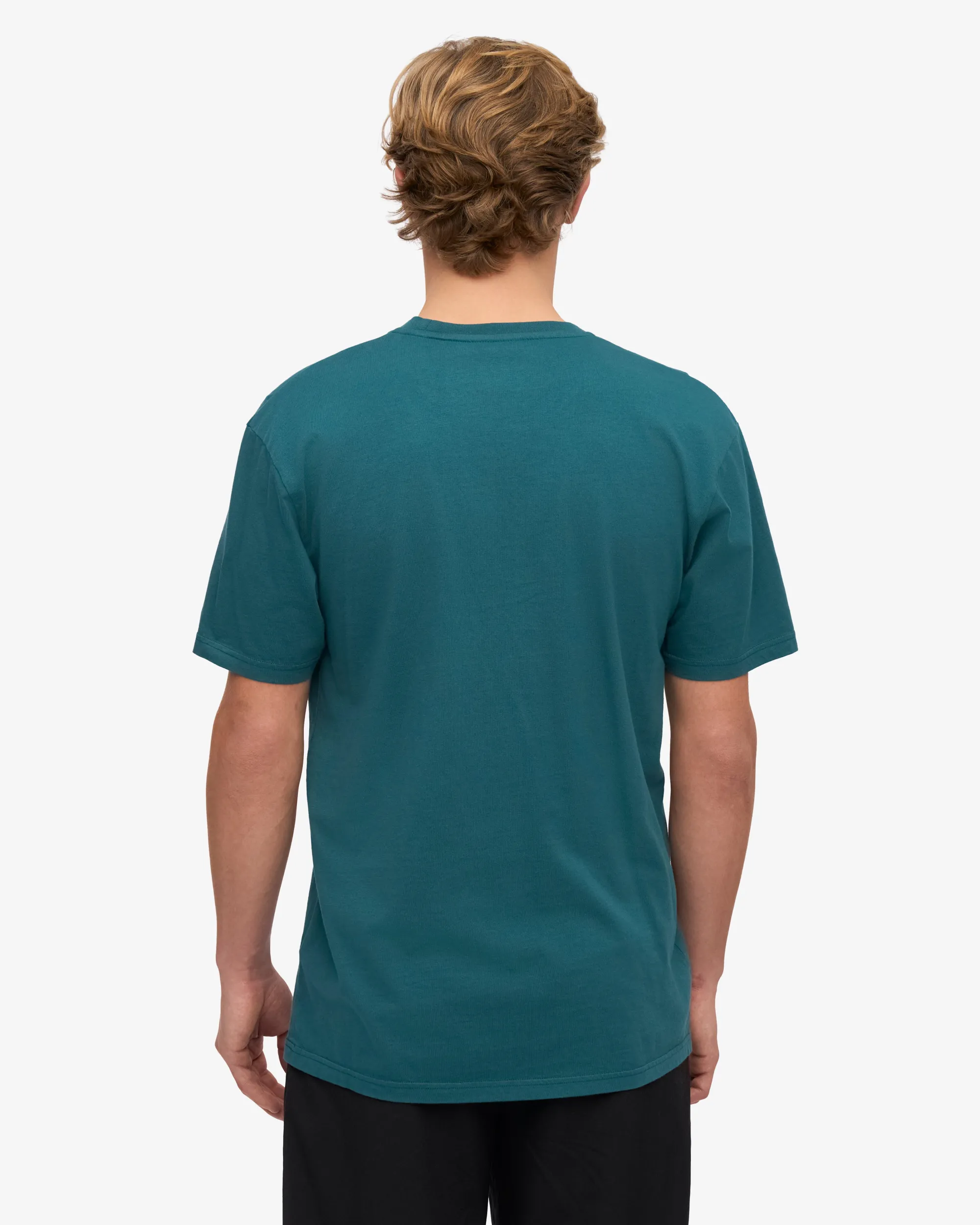 Classic Organic Tee - Ocean Green (3-Pack)