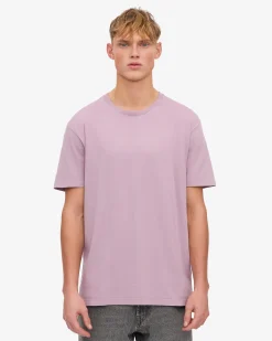 Classic Organic Tee - Pearly Purple (3-Pack)