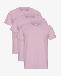 Classic Organic Tee - Pearly Purple (3-Pack)