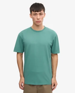Classic Organic Tee - Pine Green (3-Pack)