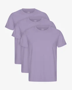 Classic Organic Tee - Purple Jade (3-Pack)
