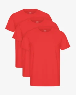 Classic Organic Tee - Red Tangerine (3-Pack)