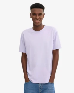 Classic Organic Tee - Soft Lavender (3-Pack)