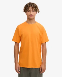 Classic Organic Tee - Sunny Orange (3-Pack)