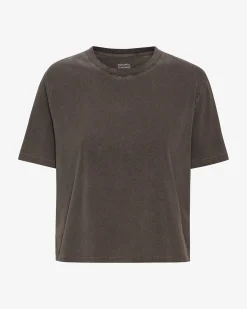 Organic Boxy Crop Tee - Faded Mud