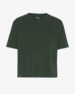 Organic Boxy Crop Tee - Midnight Forest