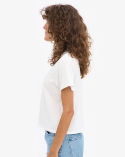 Organic Boxy Crop Tee - Mixed 07 (3-Pack)