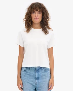 Organic Boxy Crop Tee - Mixed 05 (3-Pack)