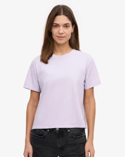 Organic Boxy Crop Tee - Soft Lavender