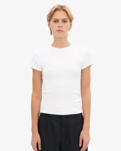 Organic Rib T-Shirt - Optical White
