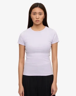Organic Rib T-Shirt - Soft Lavender