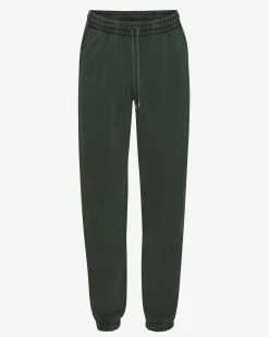 Organic Sweatpants - Midnight Forest