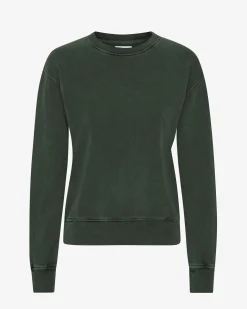 Women Classic Organic Crew - Midnight Forest