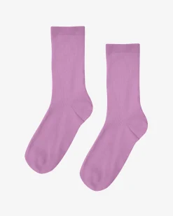 Women Classic Organic Sock - Cherry Blossom